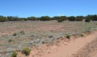 N8604 1, Concho, AZ 85924