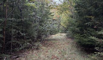 M20L2 E Side Road, Addison, ME 04606