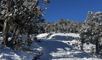 192 Pinon Hills Dr, Arboles, CO 81121