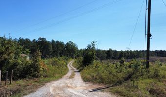 Lot 1 Highway 790, Ackerman, MS 39735