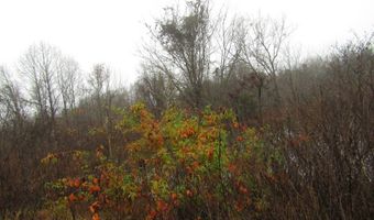 Lot 26 Lanis Rd, Baxter, TN 38544