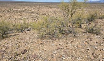 10 Acres 121-02-020, Yucca, AZ 86438