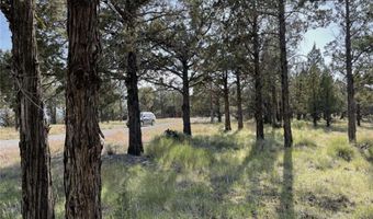 Hilltop Lane, Alturas, CA 96101