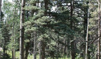 El Camino Real, Angel Fire, NM 87710