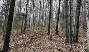 38 F Lang Rd, Bath, NH 03740