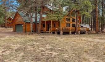 7 County Road 2312, Alpine, AZ 85920