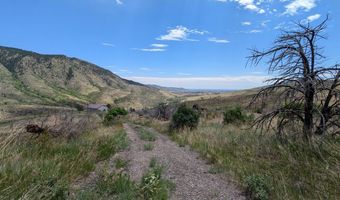 439 Redtail Ridge Way, Bellvue, CO 80512