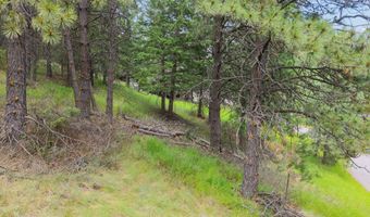 435 Windsor Dr, Bigfork, MT 59911
