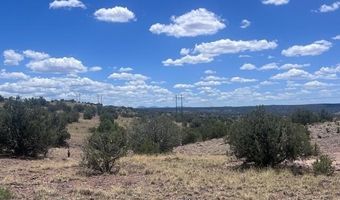 41 Indian Drive CR 8062, Concho, AZ 85924