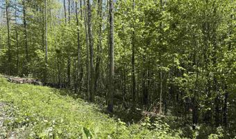 Bear Hill Road, Brookfield, VT 05036