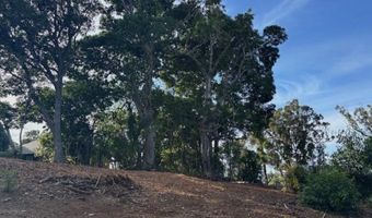 2599 Ala Olu Pl unit C, Haiku, HI 96708