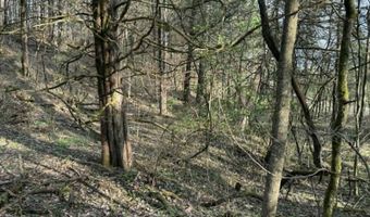 5 Acres Hwy 415, Albany, KY 42602