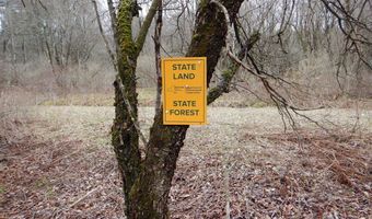 County Route 16, Angelica, NY 14709