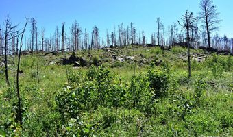 2025 Granite Rd, Bellvue, CO 80512