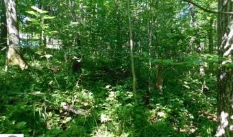 2711 Hatley Rd, Fife Lake, MI 49633