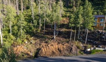 1037 Snow Crest Rd, Alpine Meadows, CA 96146
