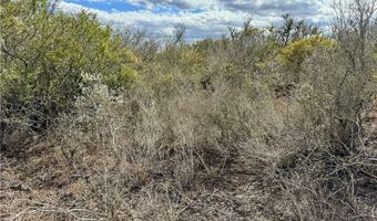 332 CR 171, Alice, TX 78332