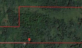 6002 Wildwood, Alger, MI 48610