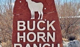 2100 Buckhorn Rd, Alamo, NV 89025