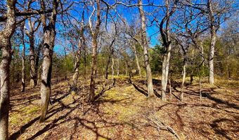 Tbd 13.7+/- Acres County Road 2560, Alvord, TX 76225