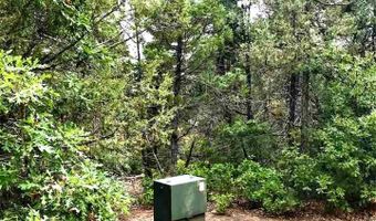 53 Paw A Suki, Arroyo Seco, NM 87514