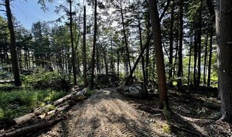 Skogen Ridge Drive lot 1, Belgrade, ME 04917