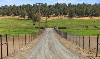 7122 E Langell Valley Rd, Bonanza, OR 97623