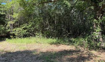 64 47 Ac Old Faceville Rd, Bainbridge, GA 39819