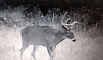 11000 Rd, Altamont, KS 67330