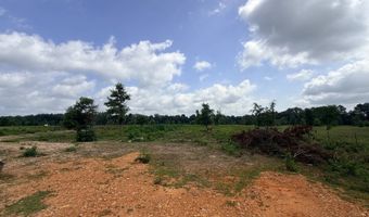138 Little River 183, Ashdown, AR 71822
