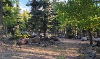 Lot 1140 Panorama Way, Angel Fire, NM 87710