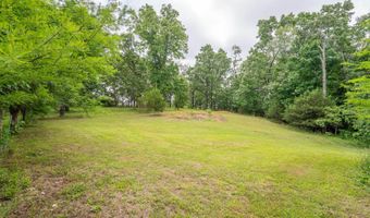 13150 Missouri 19, Alton, MO 65606