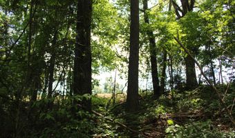 1800 Highway 4 E, Ashland, MS 38603