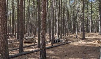 Knollwood Way lot 3, Angel Fire, NM 87710