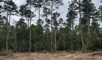R15685 Moore Cemetery Road, Apple Springs, TX 77519
