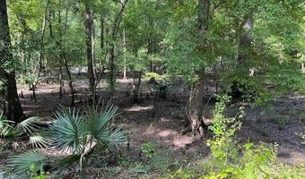 1373 Bridge St, Branchville, SC 29432