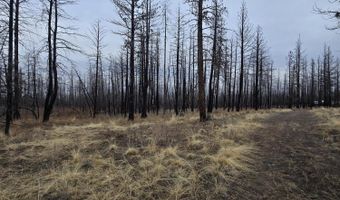 Bull Pine Road 173 Acres, Bly, OR 97622