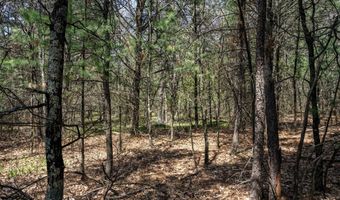S Badger Lane lot 39, Arkdale, WI 54613