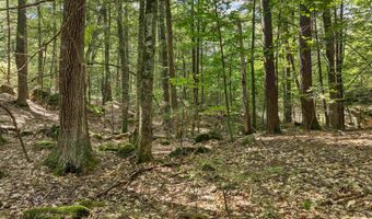 Lot 36 Mauhaut Shores Road, Alton, NH 03810