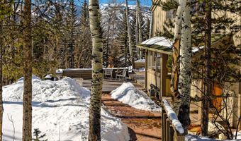 1036 Red Mountain Rd, Aspen, CO 81611