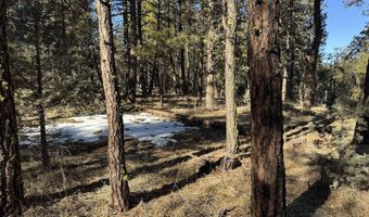 Golden Eagle Drive 30, Bonanza, OR 97623