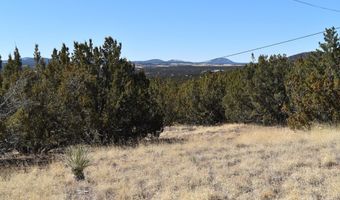 Tbd Stanford Road, Concho, AZ 85924
