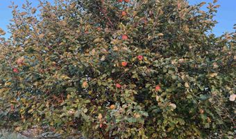 Lot 3 EAU CLAIRE RIVER ROAD, Aniwa, WI 54408