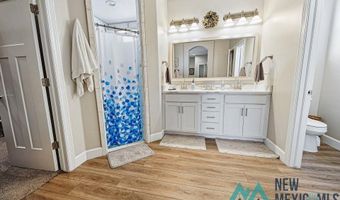 308 Baler Ln, Carlsbad, NM 88220