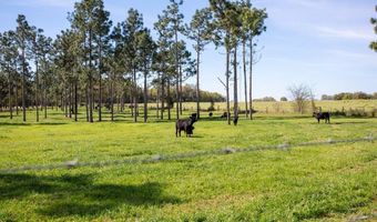 192 Breedlove Rd, Bainbridge, GA 39817