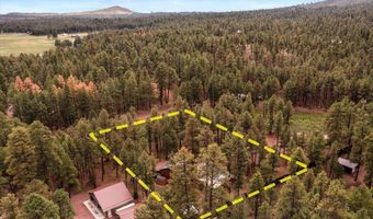 11 Whitetail Rd, Alpine, AZ 85920