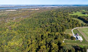 000 County Road 1320 BETWEEN COUNTY ROADS 1324 AND 1320, Bardwell, KY 42023