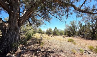 3200 W Poppy Rd, Ash Fork, AZ 86320