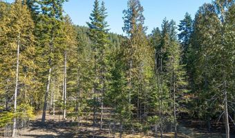 NKA Frontage Rd, Clark Fork, ID 83811