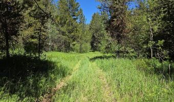 4585 E 1400 N, Ashton, ID 83420